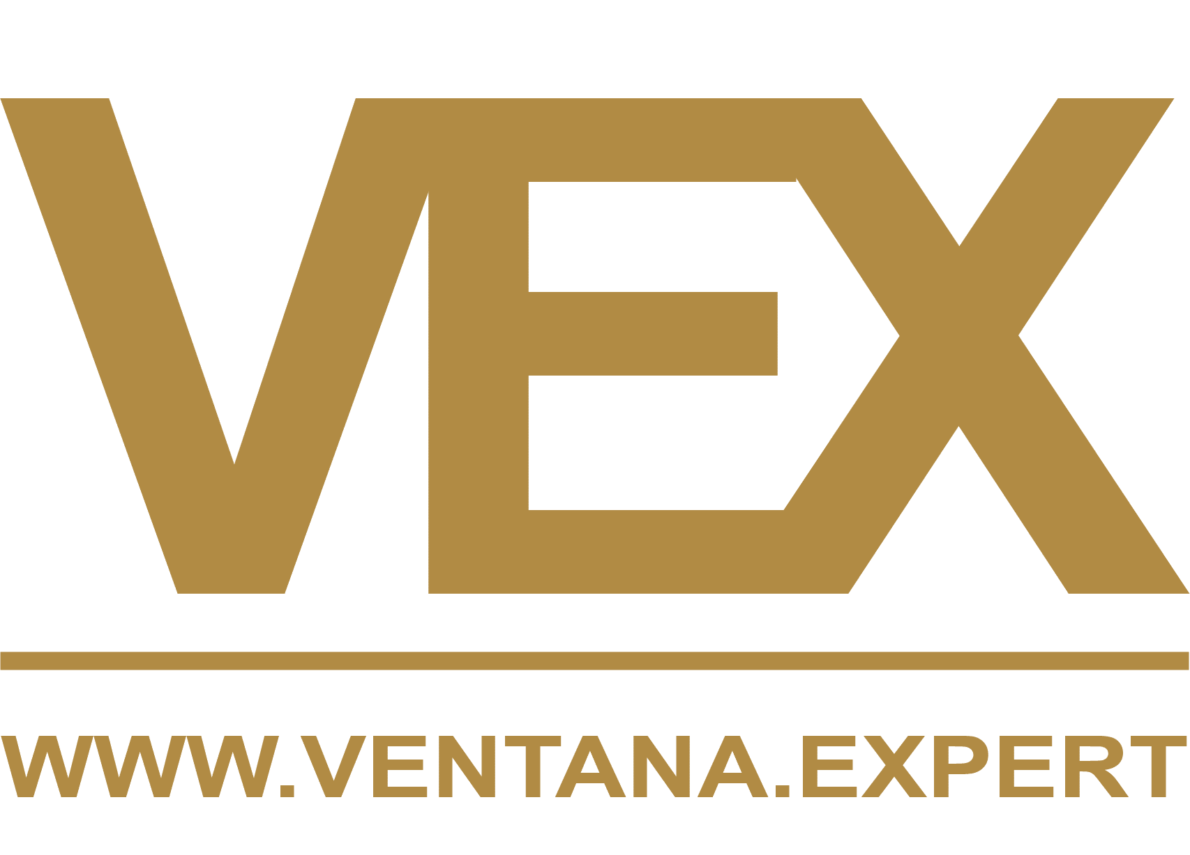 VEX Ventana Expert